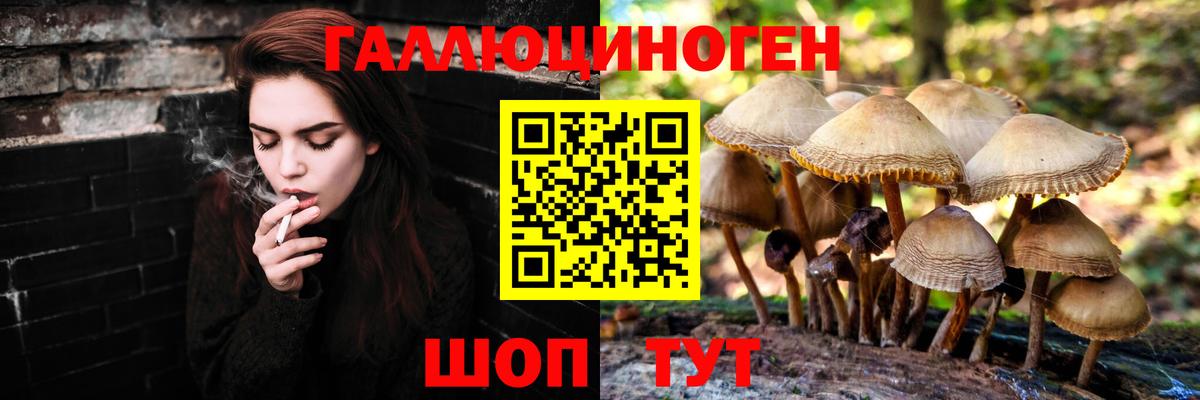 Псилоцибиновые грибы Psilocybe  сколько стоит  Миасс  Псилоцибиновые грибы Psilocybe  Вход с VPN 